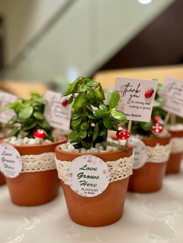 Small green succulents in terracotta pots with lace trim and thank-you notes.